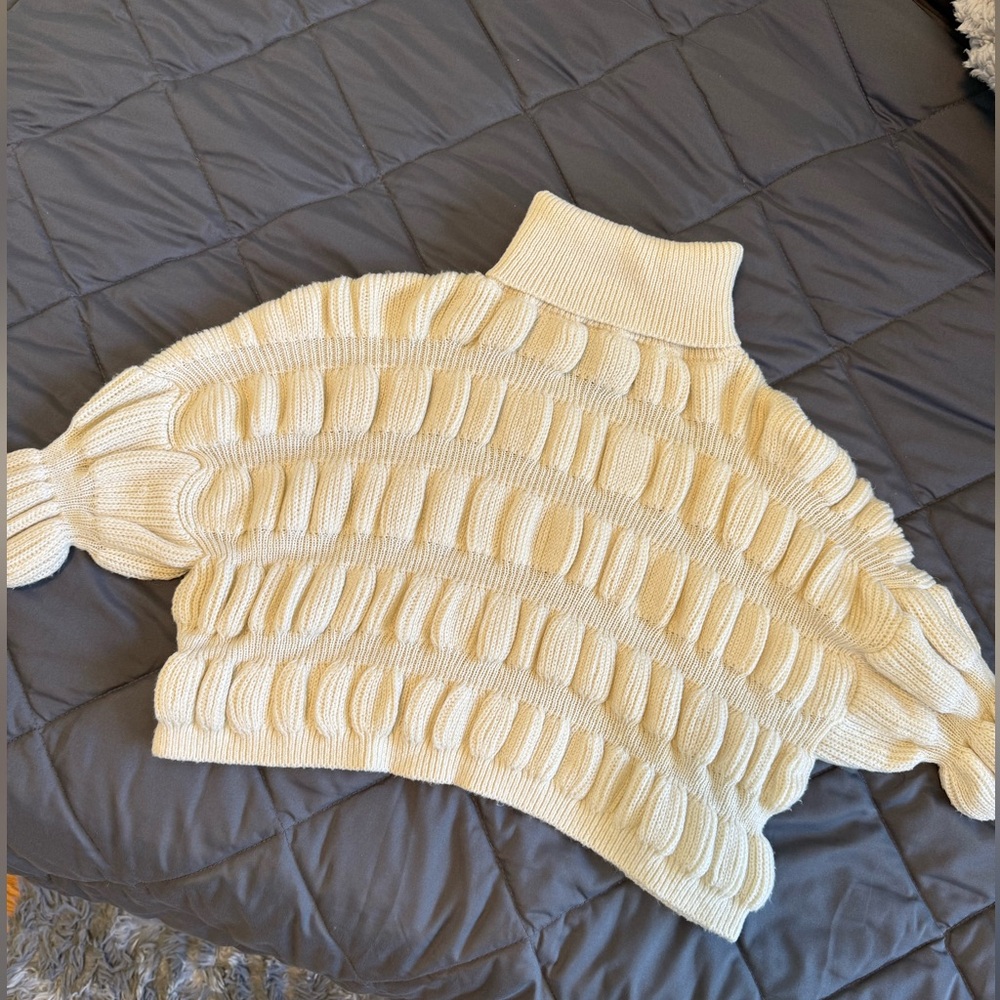 Turtleneck cropped sweater